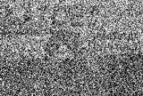 An example of a P1 picture.  Click on the image for a large version.